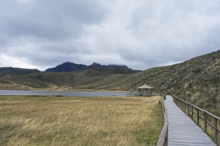 The boardwalk at Limpiopungo Lagoon in Cotopaxi National Park