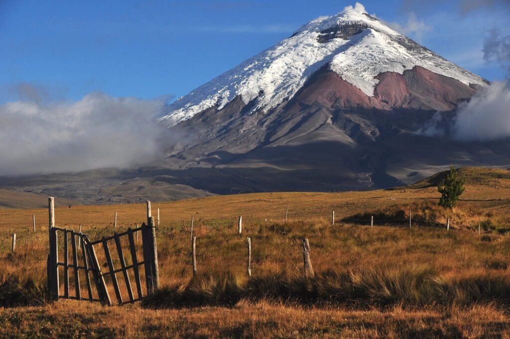 Cotopaxi Volcano above the golden páramo of the national park